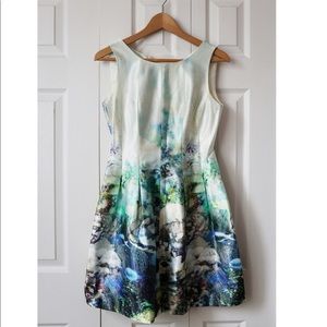 Zara Marine Print Dress